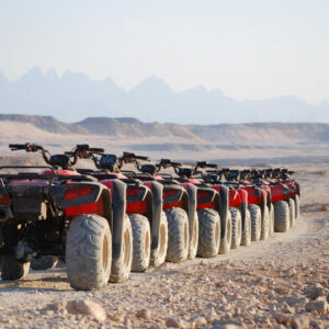 safari trips